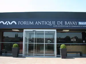 Forum Antique de Bavay