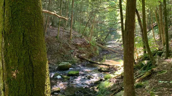 Mianus River Gorge Preserve