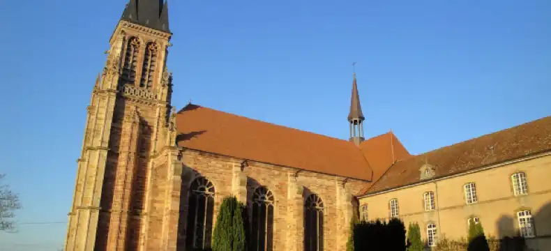 Vosges