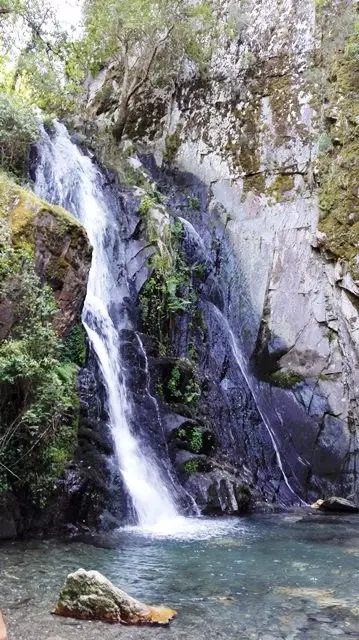 Arganil