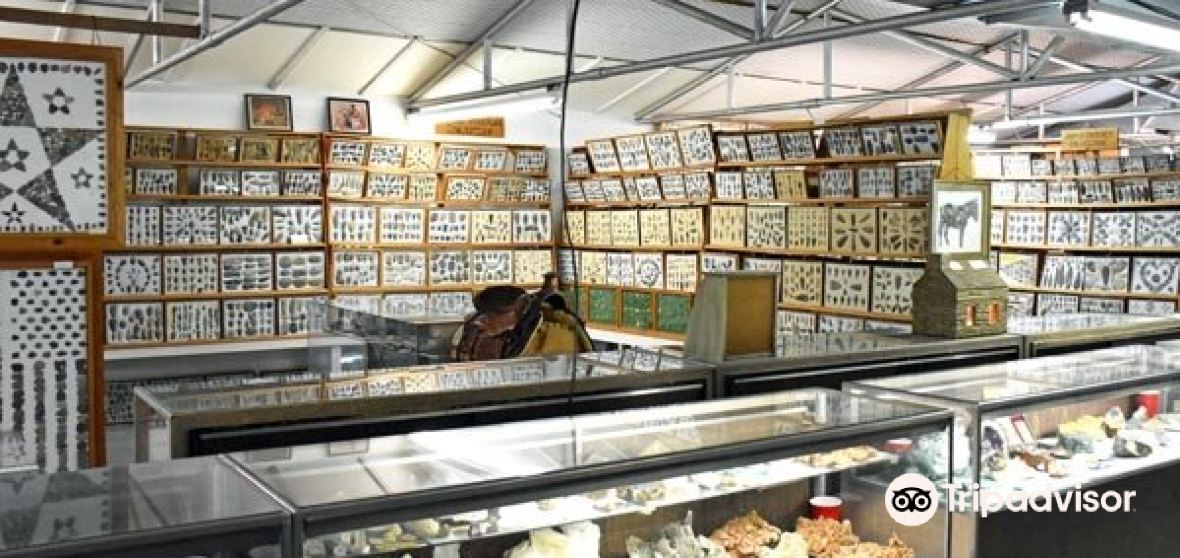 Things to Do in Concho County in 2024 Top Attractions, Local Food