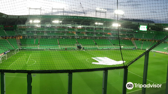 Euroborg Stadium
