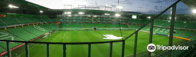 Euroborg Stadium