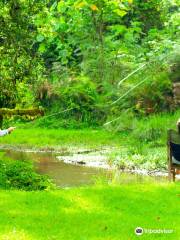 Ragati Conservancy, Mt Kenya