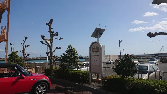 Oigawa port