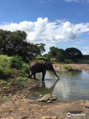 African Big5 Safaris