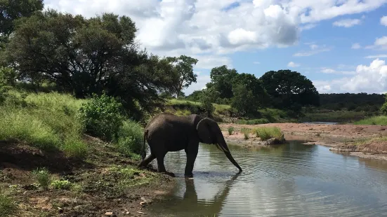 African Big5 Safaris