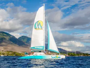 Sea Maui