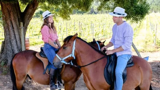 Bodegas Terras Gauda