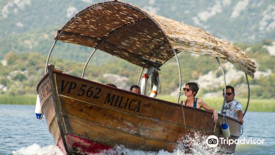 Boat Milica