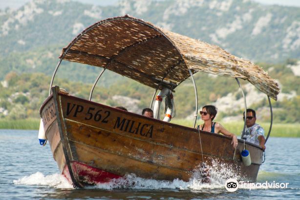 Boat Milica