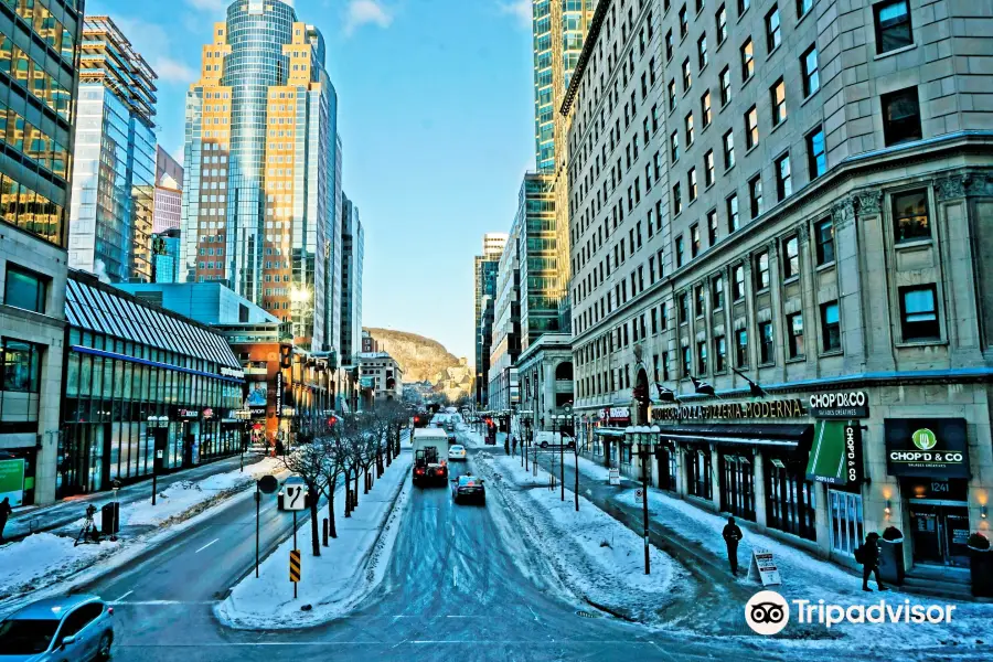 Avenue McGill College