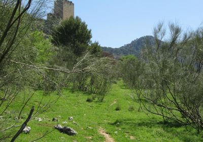 Sierra Sur de Jaen