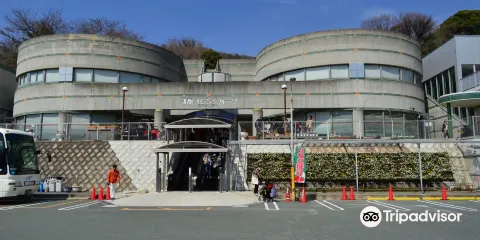 蒲郡橘園
