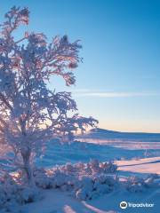 Kaldoaivi Wilderness Area