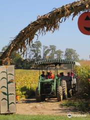 Stokoe Farms