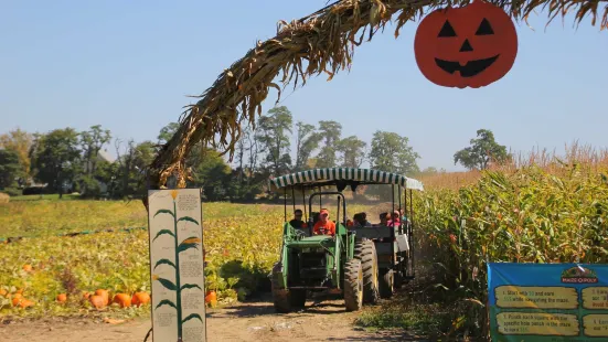 Stokoe Farms