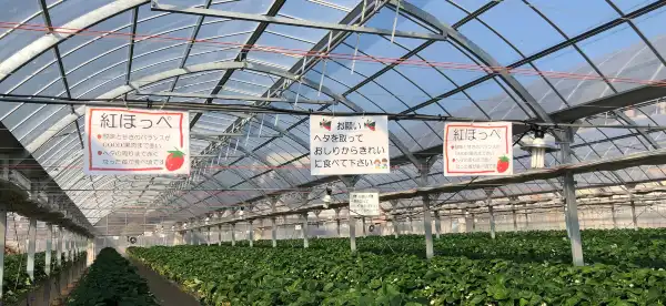北本のホテル