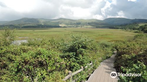 八島ケ原湿原