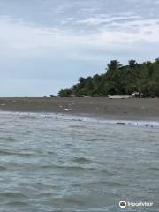 Pianguita Beach