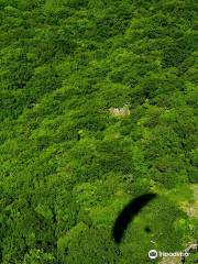 Sky Camp Paragliding