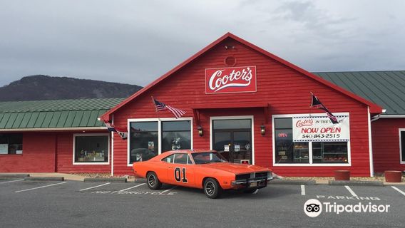 Cooter's Place - Luray
