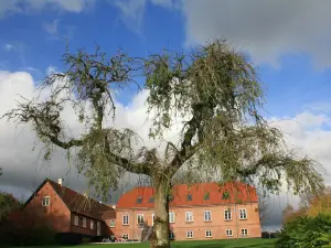 Fussingø
