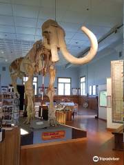 University of Nebraska State Museum's Trailside Museum of Natural History