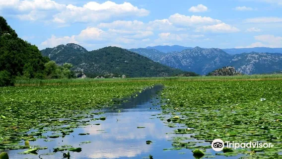 Virparis - boat tours and patisserie