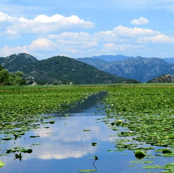Virpazar