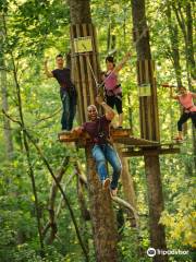 Go Ape Treetop Adventure Course