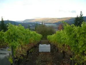 Larch Hills Winery