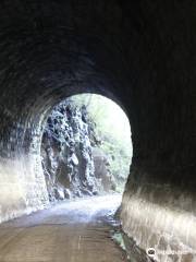 Tunel de Linha Bonita Alta