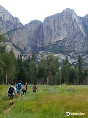 Yosemite Family Adventures