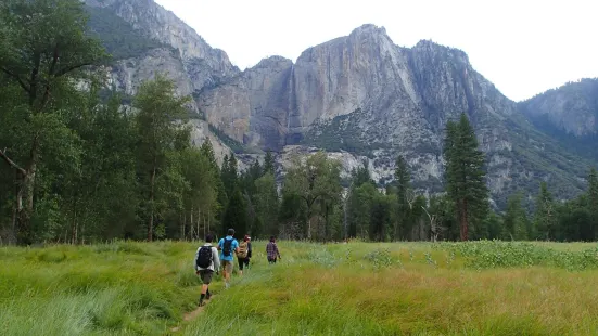 Yosemite Family Adventures