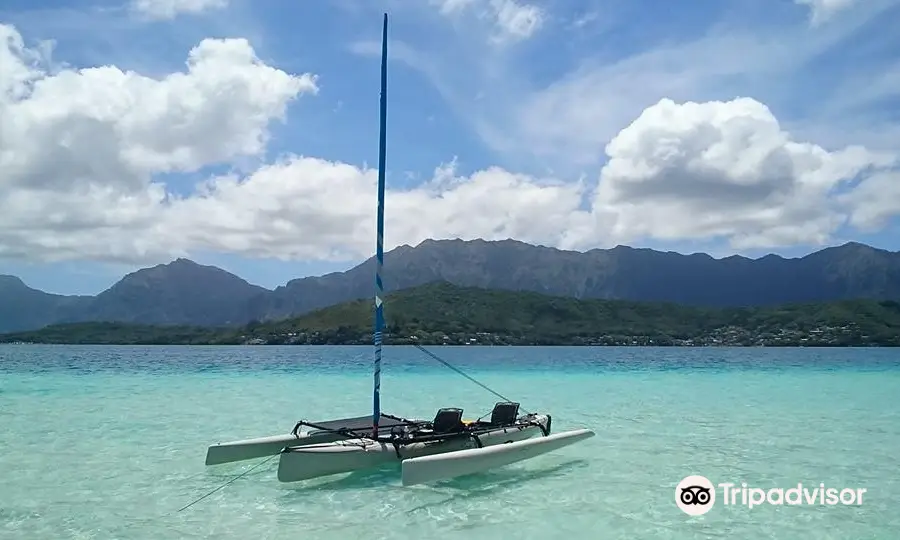 Shaka Oahu Sailing