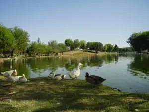 Parque Central