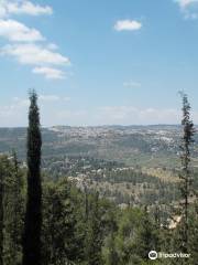 Bosque de Jerusalén
