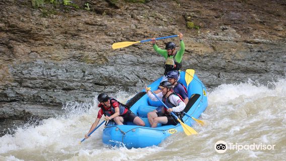 Rafting Savegre River
