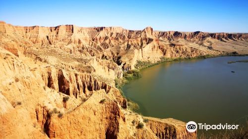 Senda Ecologica de las Barrancas