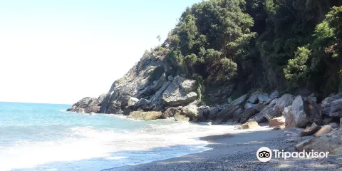 Tourkopigi Beach