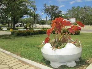 Flower Clock