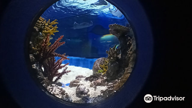 XPLORE Entertainment Center