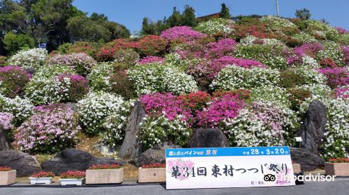 東村村民の森 つつじエコパーク