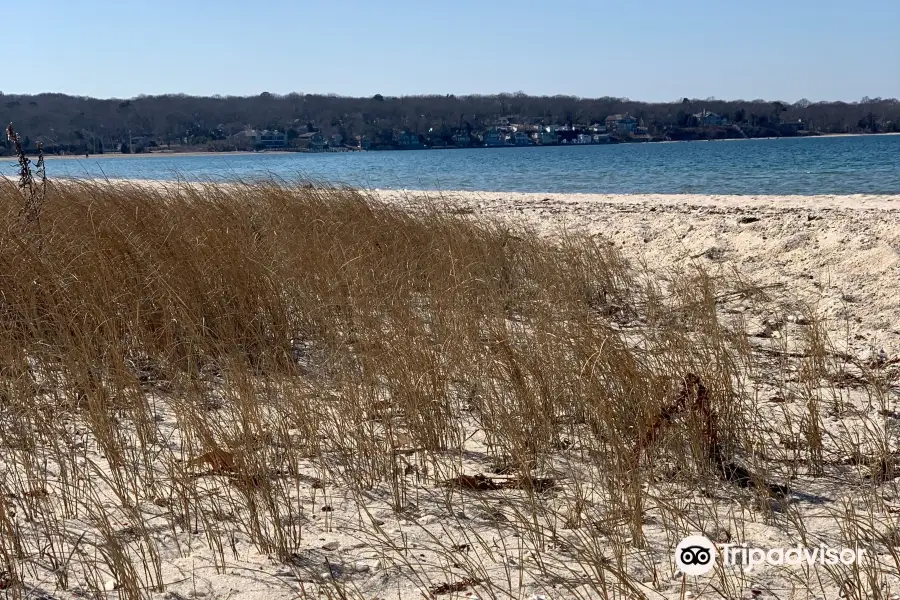 Foster Memorial Beach