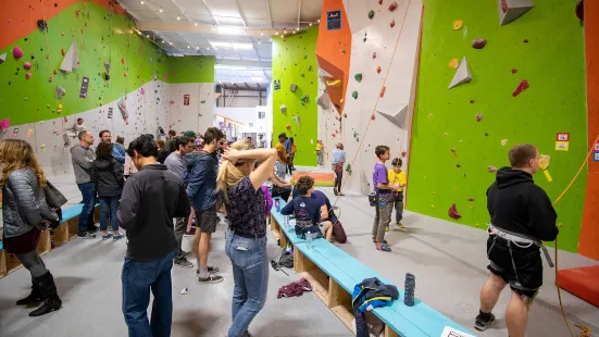 Active Climbing - Indoor Rock Climbing