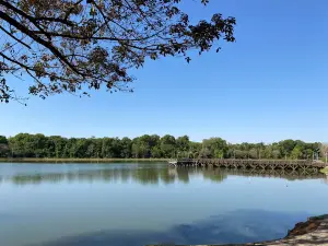 Lago Ernani Jose Machado