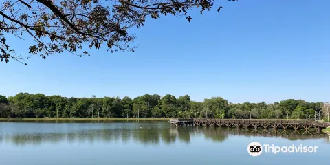 Lago Ernani Jose Machado