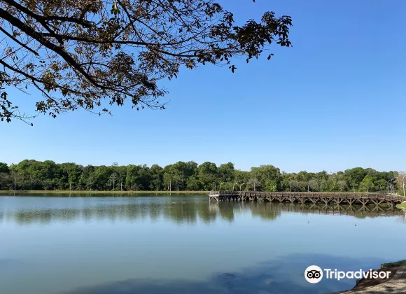 盧卡斯多里奧貝爾德