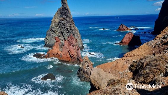 Ponta de São Lourenço